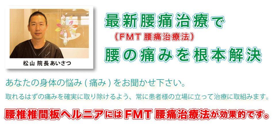 ���ꌧ�k�J���k�O �n���r�[�T���G�[ �ē�����߂��ɂ��� FMT���Ɏ��Ö@ �v���e�b�N�̐����@ �A���n�o�����X�����@�E���̉@