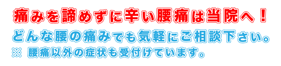 ���ꌧ�k�J���k�O �n���r�[�T���G�[ �ē�����߂��ɂ��� FMT���Ɏ��Ö@ �v���e�b�N�̐����@ �A���n�o�����X�����@�E���̉@
