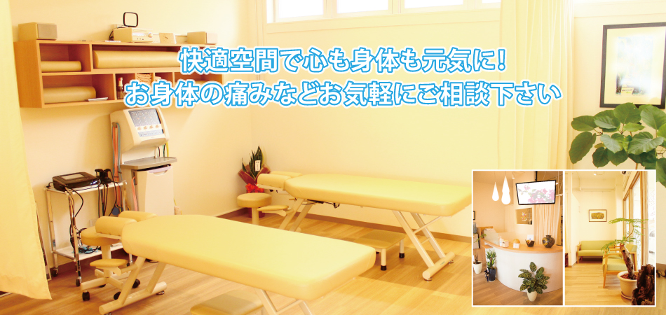 �k�J�� �ނ��ł� ��ʎ��� ���� �ŊԔw���j�A �ɂ�鐮���@�� �n���r�[�T���G�[�߂��ɂ��� FMT���Ɏ��Ö@ �v���e�b�N�̐����@ �A���n�o�����X�����@�E���̉@